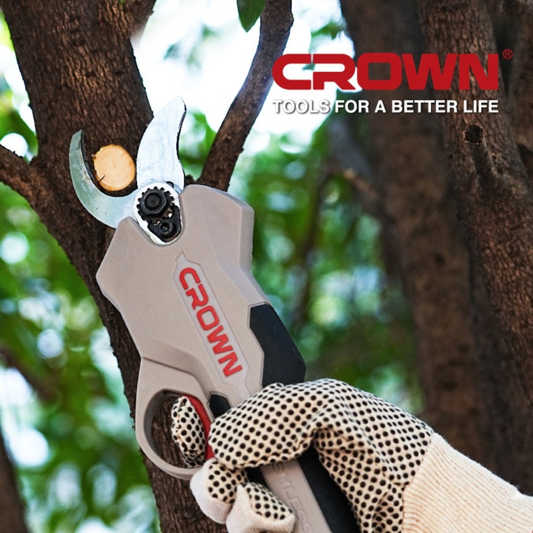 CROWN CT29001HX-2S BMC купить,64990