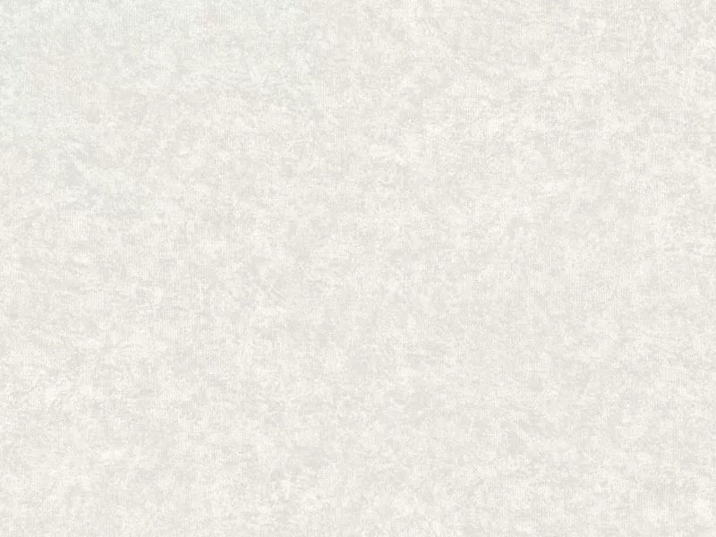 Обои Rasch Erismann/61068-02 , основа винил (10x1.06 м) купить,NaN