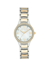 Часы Anne Klein AK3385MPTT