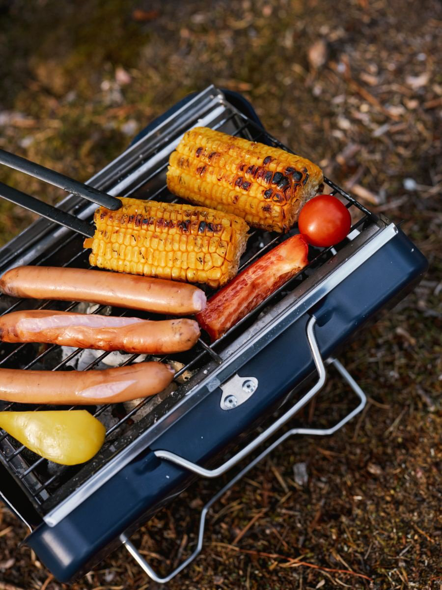 Мангал RoadLike переносной RoadLike Grill Mini купить,NaN