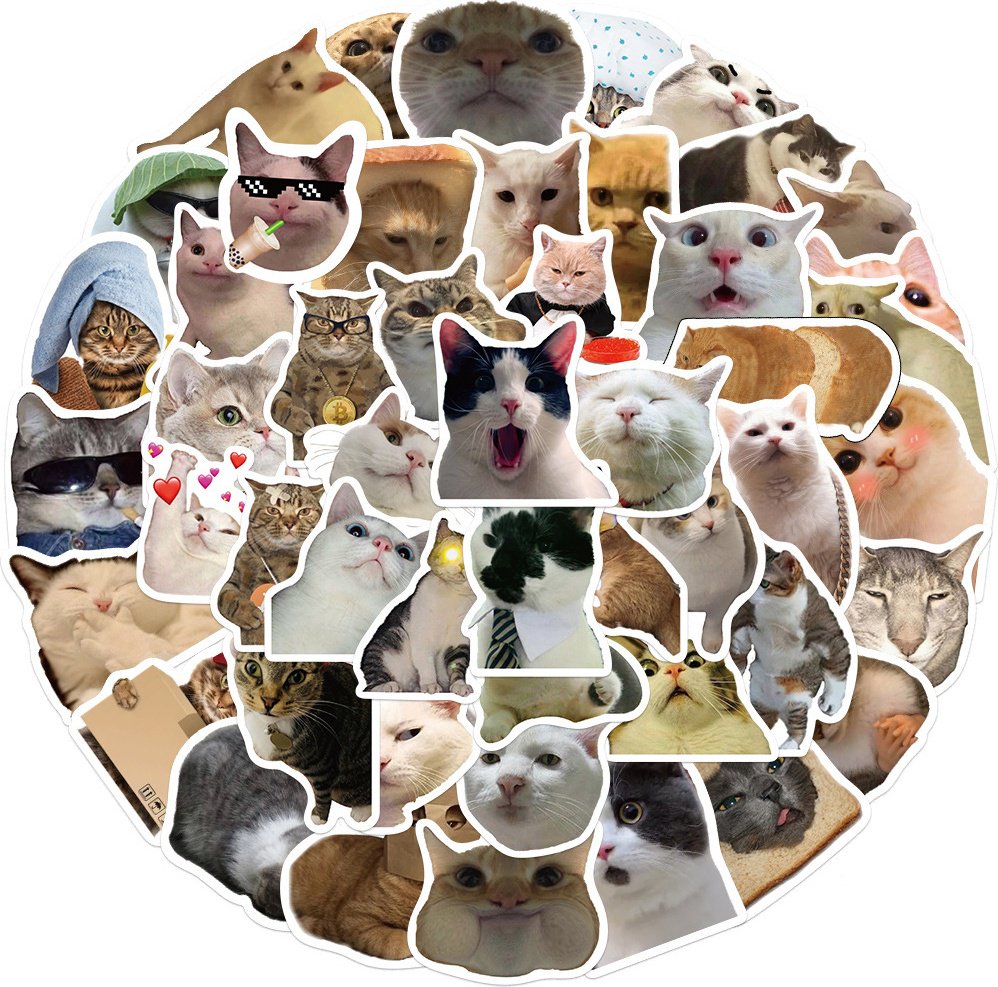 Альбом Котики 50