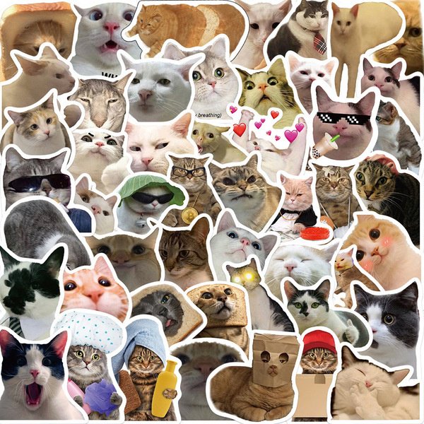 Альбом Котики 50