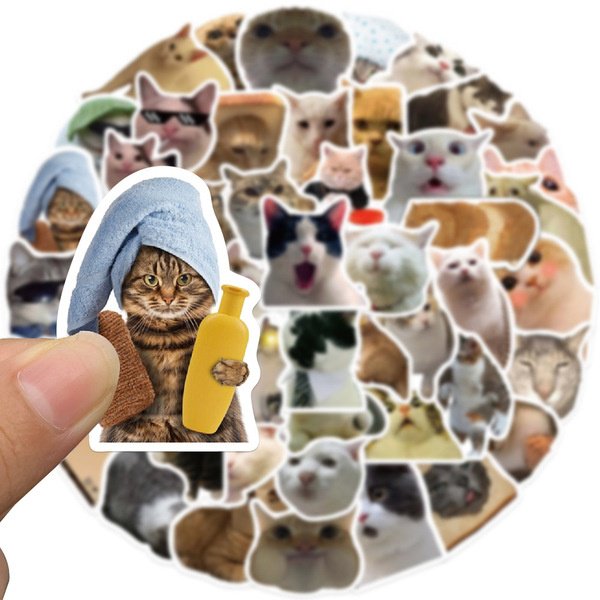 Альбом Котики 50