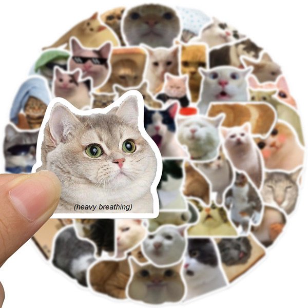 Альбом Котики 50