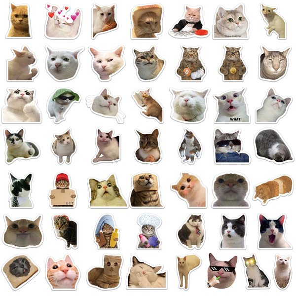 Альбом Котики 50