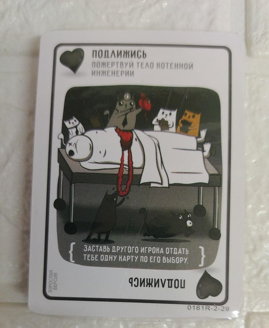 Взрывные котята
