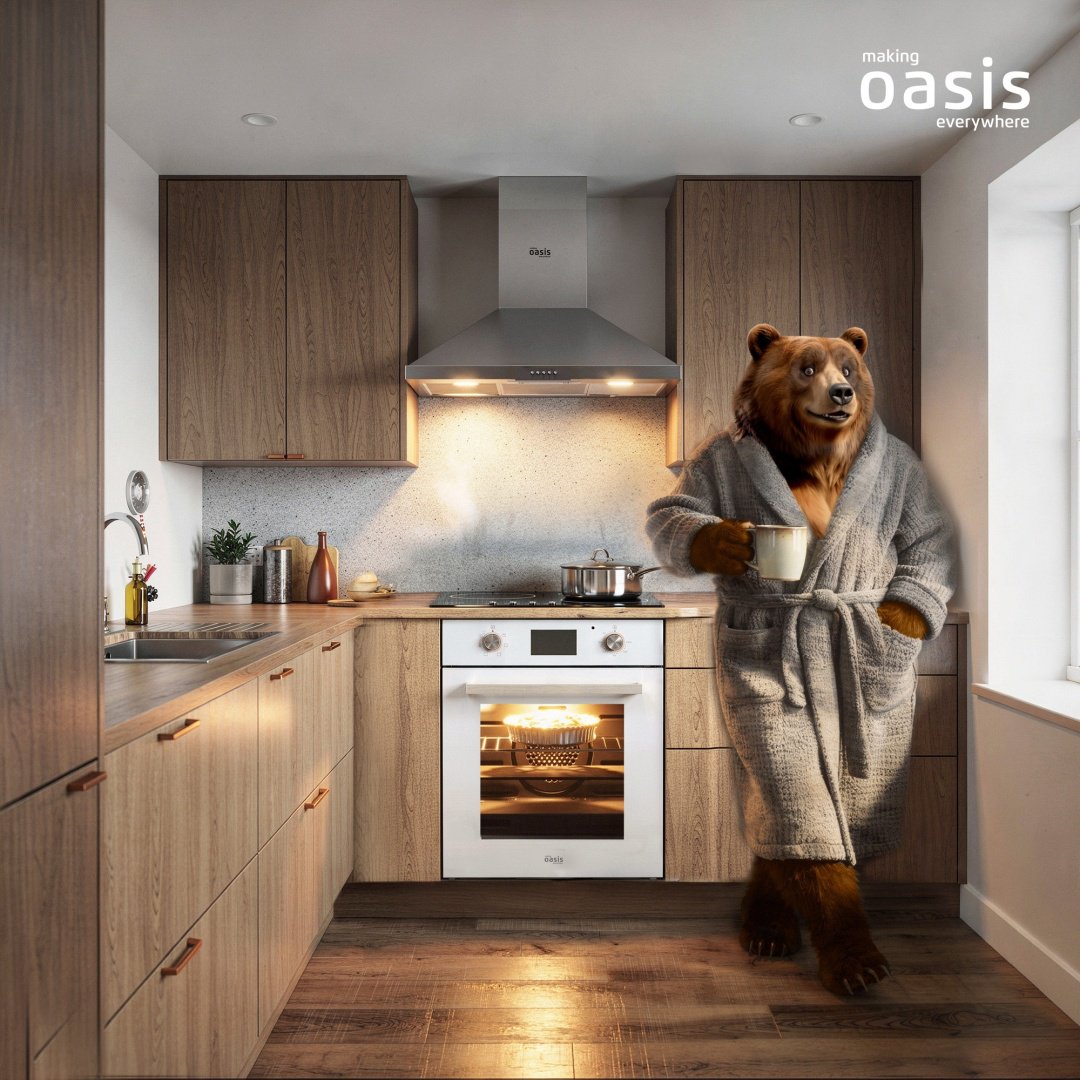 Духовой шкаф Oasis D-45SW6 белый купить,NaN