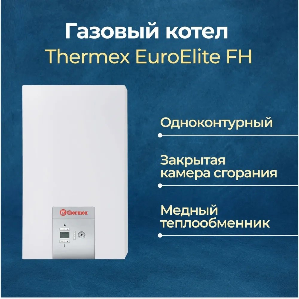 Газовый котел Thermex EuroElite FH32 без дымохода