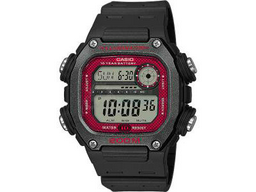 Часы Casio DW-291H-1BVEF