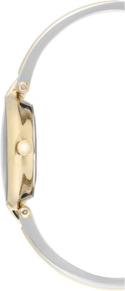 Часы Anne Klein AK3249SVTT купить,NaN