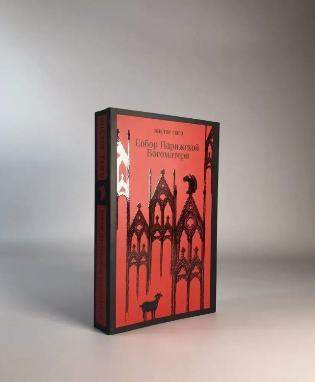 Книга Гюго В.: Собор Парижской Богоматери купить,NaN