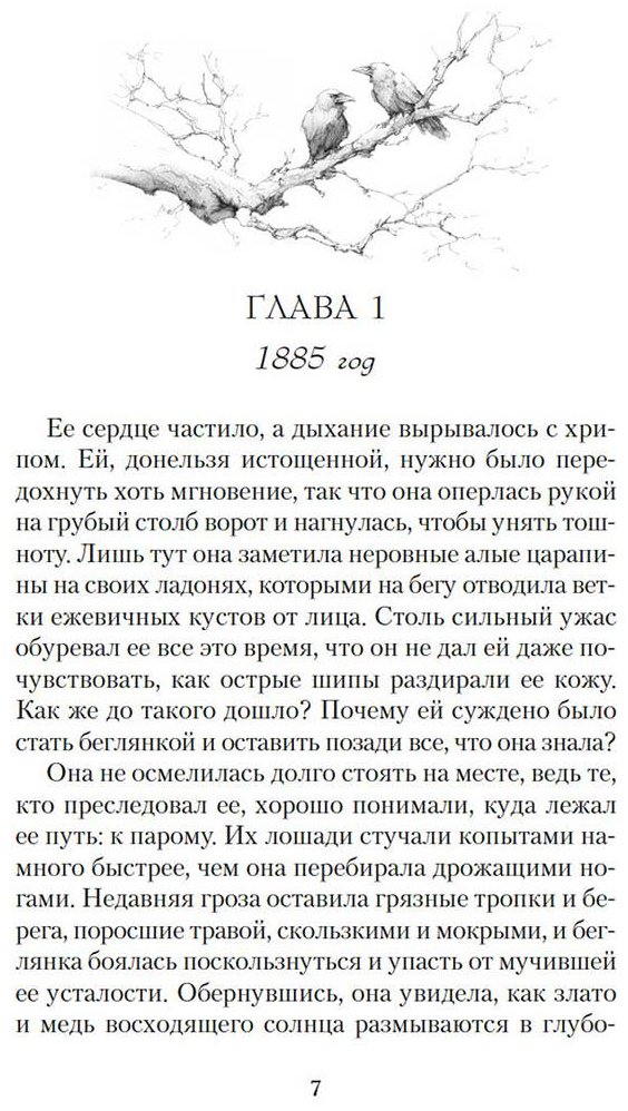 Книга Кир Дженни: Ведьма Вороньего леса купить,NaN