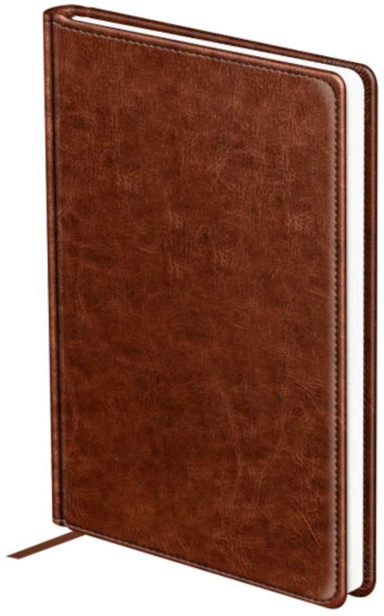 Ежедневник BG Nebraska, A5, 160 л, коричневый купить,NaN