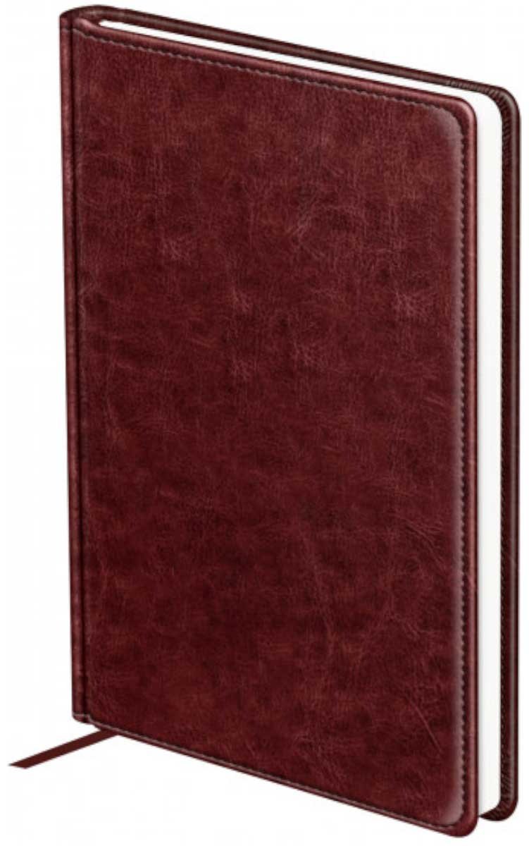 Ежедневник BG Nebraska, A5, 160 л, красный купить,NaN