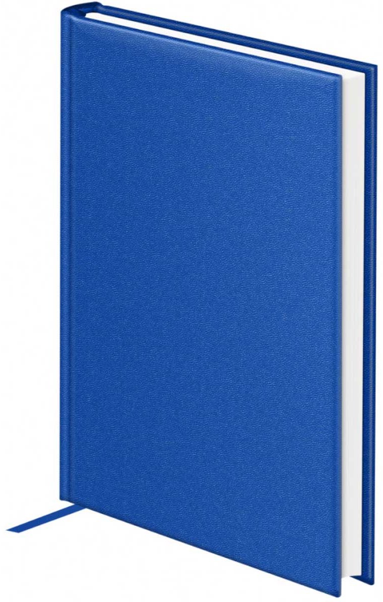 Ежедневник BG Ariane, A5, 160 л, синий купить,NaN