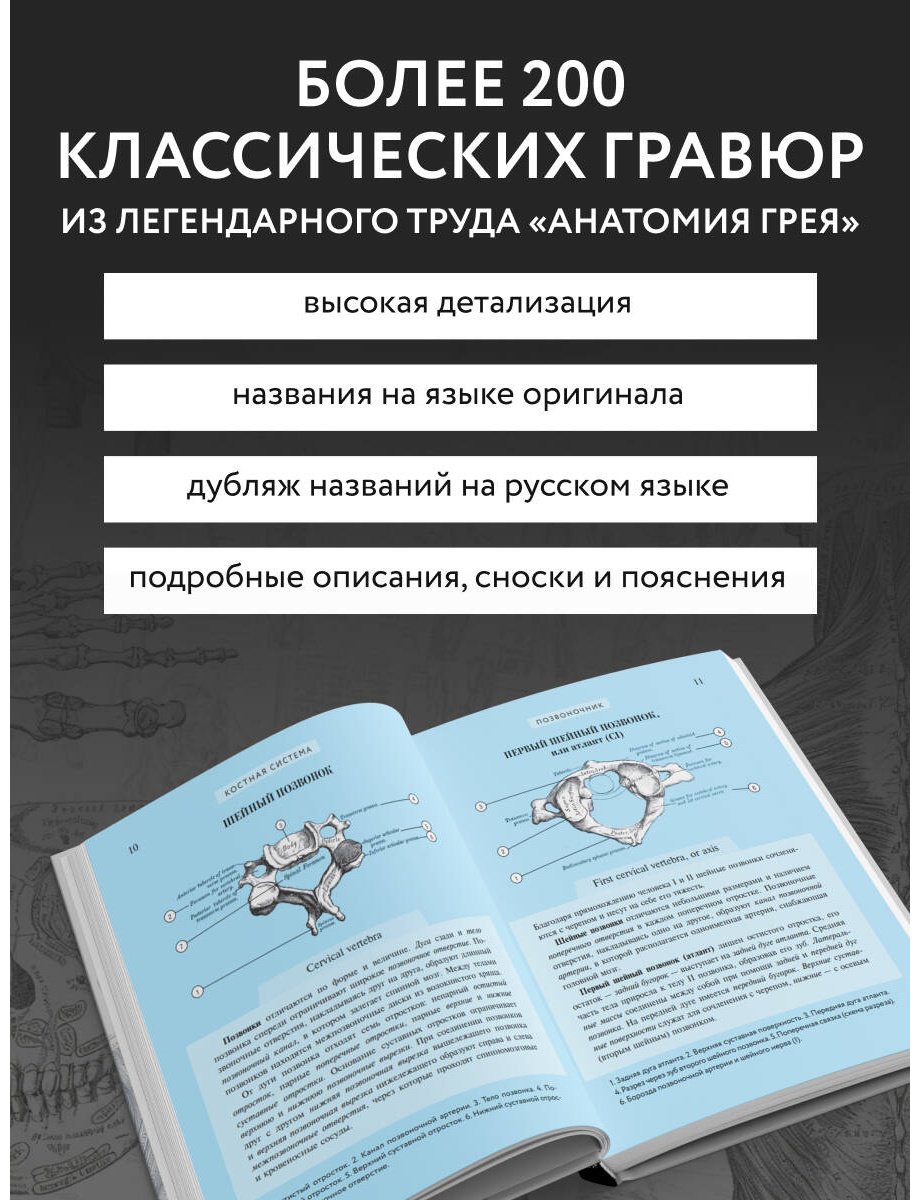 Книга Билич Г. Л., Николенко В. Н.: Популярный атлас анатомии человека. 200 классических иллюстраций из «Анатомии Грея» - ForteMarket Книга Билич Г. Л., Николенко В. Н.: Популярный атлас анатомии человека. 200 классических иллюстраций из «Анатомии Грея» купить,NaN