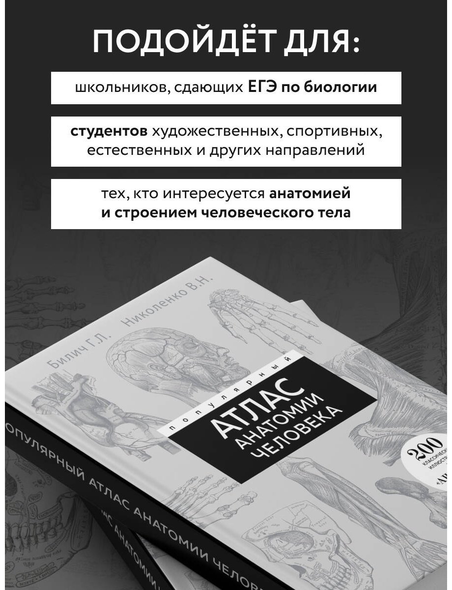 Книга Билич Г. Л., Николенко В. Н.: Популярный атлас анатомии человека. 200 классических иллюстраций из «Анатомии Грея» - ForteMarket Книга Билич Г. Л., Николенко В. Н.: Популярный атлас анатомии человека. 200 классических иллюстраций из «Анатомии Грея» купить,NaN