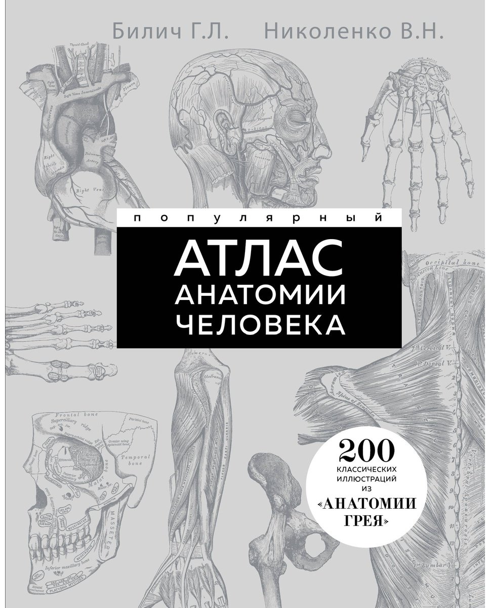 Книга Билич Г. Л., Николенко В. Н.: Популярный атлас анатомии человека. 200 классических иллюстраций из «Анатомии Грея» - ForteMarket Книга Билич Г. Л., Николенко В. Н.: Популярный атлас анатомии человека. 200 классических иллюстраций из «Анатомии Грея» купить,NaN
