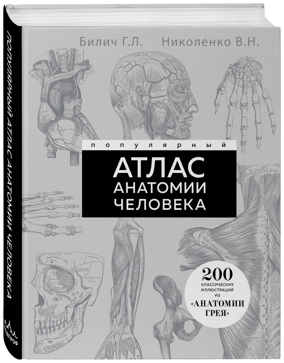 Книга Билич Г. Л., Николенко В. Н.: Популярный атлас анатомии человека. 200 классических иллюстраций из «Анатомии Грея» - ForteMarket Книга Билич Г. Л., Николенко В. Н.: Популярный атлас анатомии человека. 200 классических иллюстраций из «Анатомии Грея» купить,NaN