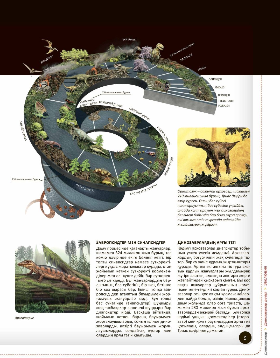 Книга Динозаврлар купить,NaN