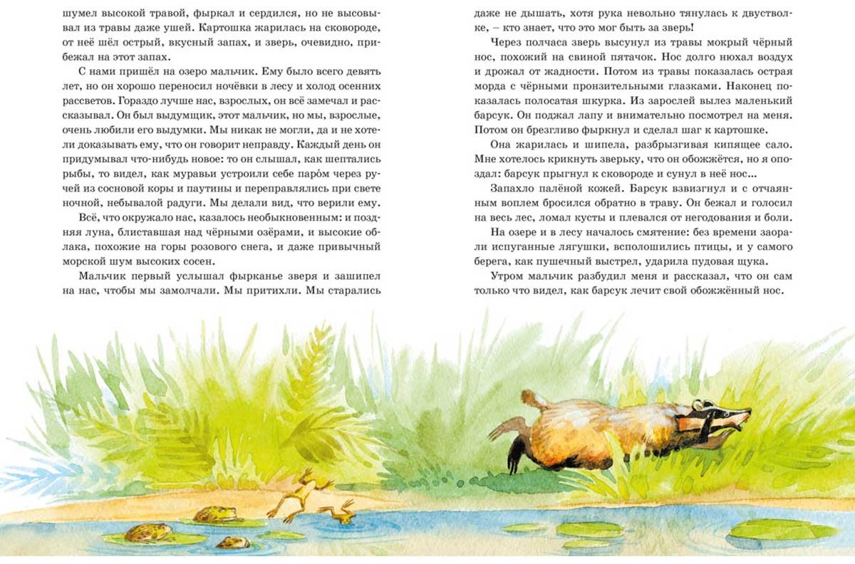 Книга Паустовский К. Г.: Кот-ворюга. Рассказы и сказки купить,NaN