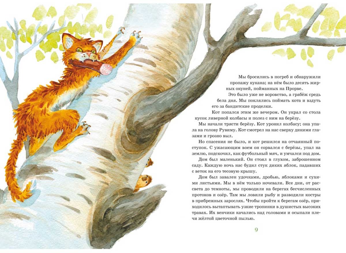 Книга Паустовский К. Г.: Кот-ворюга. Рассказы и сказки купить,NaN