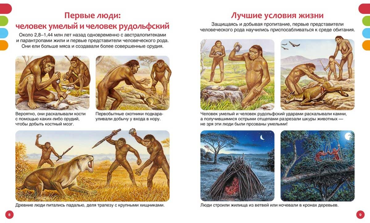 Книга Бомон Э., Пижо Р.: Тайны первобытного мира купить,NaN