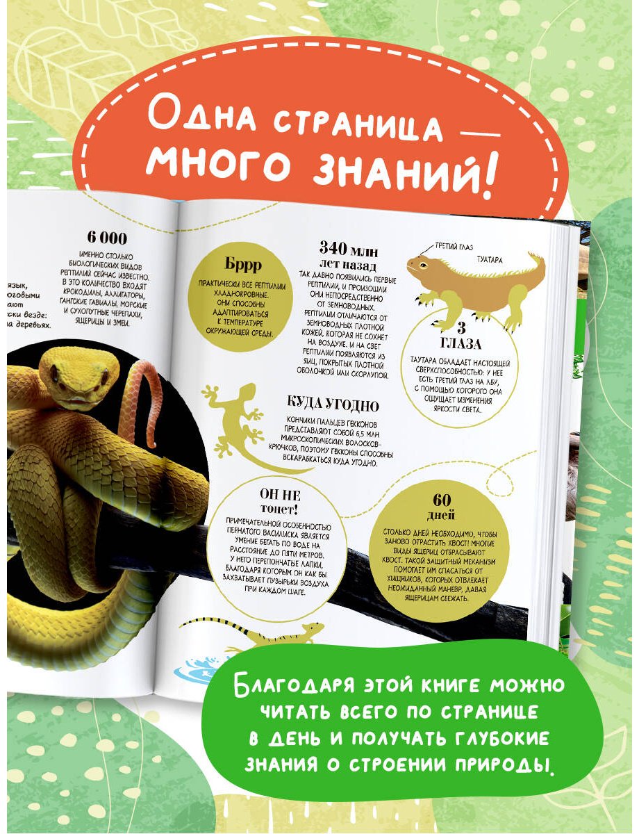 Книга Банфи К.: 100 тысяч почему на каждый день. Природа купить,NaN