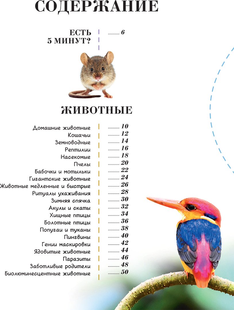 Книга Банфи К.: 100 тысяч почему на каждый день. Природа купить,NaN