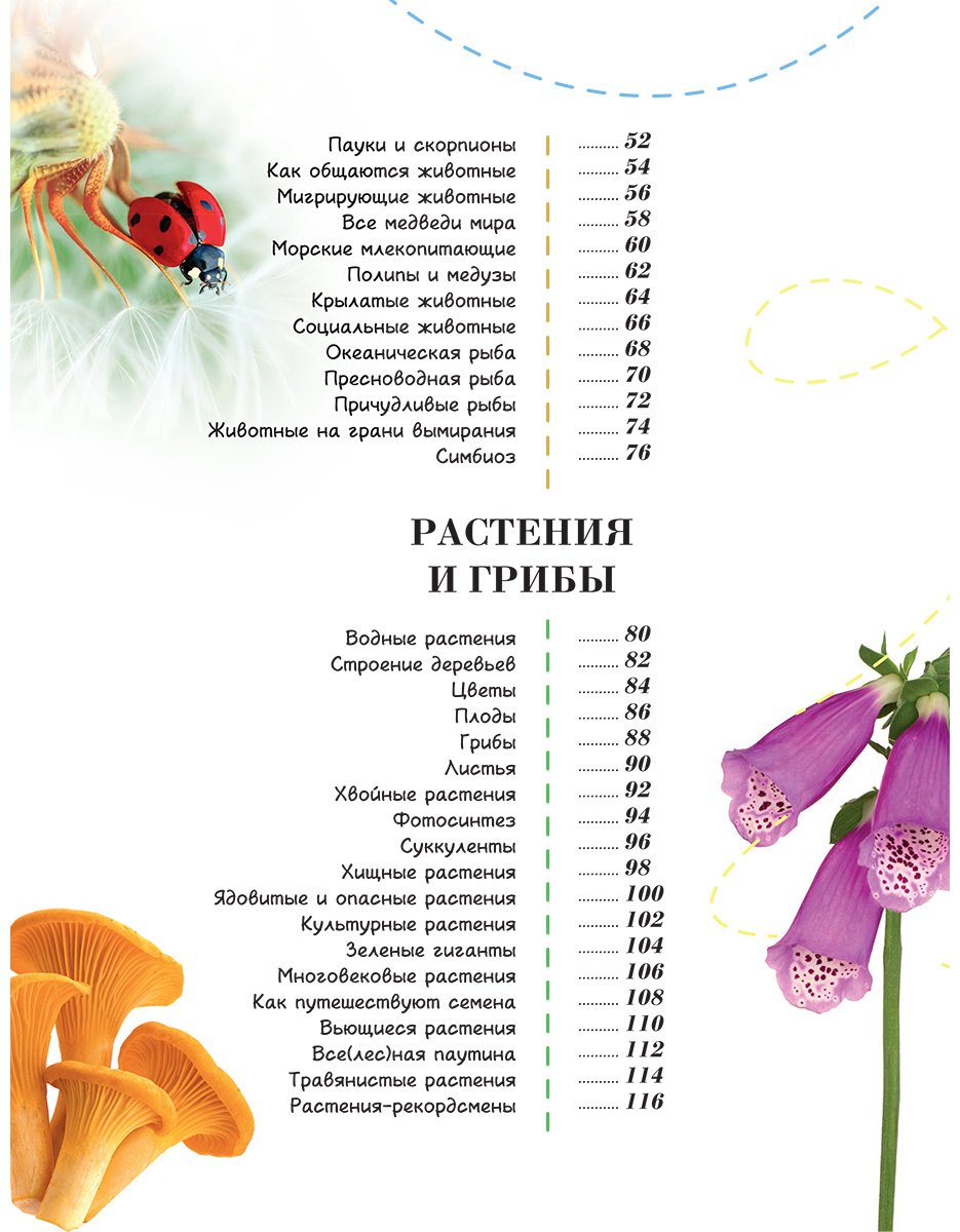Книга Банфи К.: 100 тысяч почему на каждый день. Природа купить,NaN