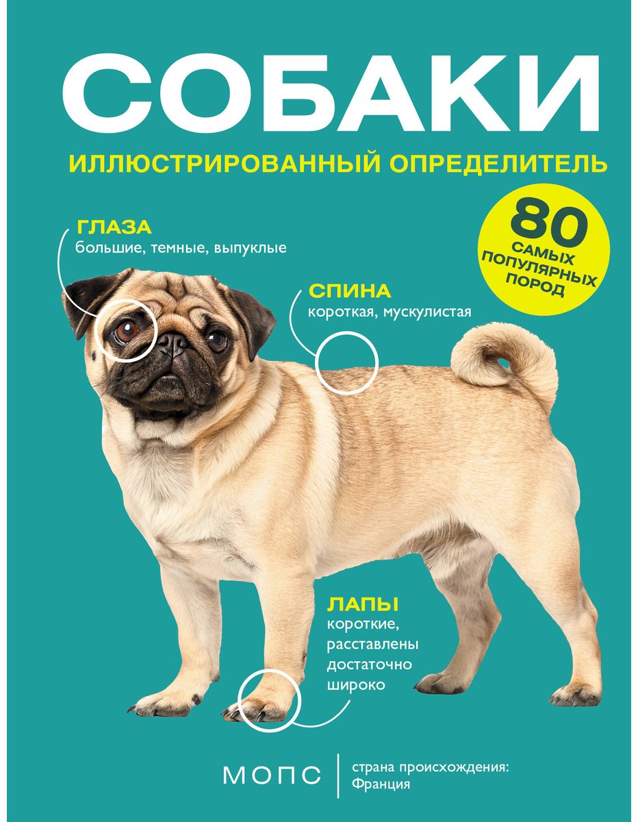 Книга Барановская И. Г.: Барановская И. Г.: Собаки. 80 самых популярных пород. Иллюстрированный определитель купить,NaN