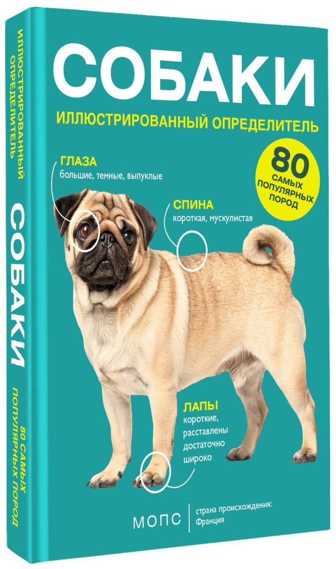 Книга Барановская И. Г.: Барановская И. Г.: Собаки. 80 самых популярных пород. Иллюстрированный определитель купить,NaN