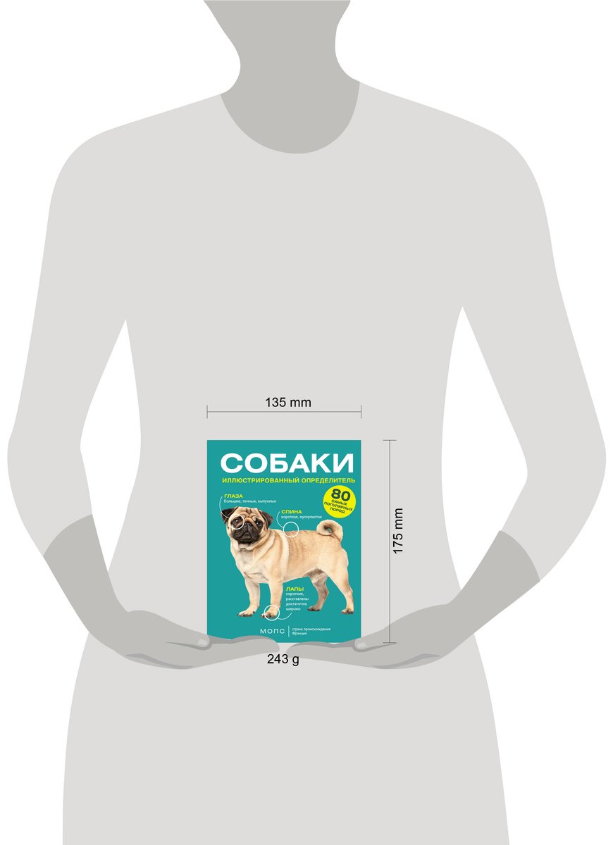 Книга Барановская И. Г.: Барановская И. Г.: Собаки. 80 самых популярных пород. Иллюстрированный определитель купить,NaN