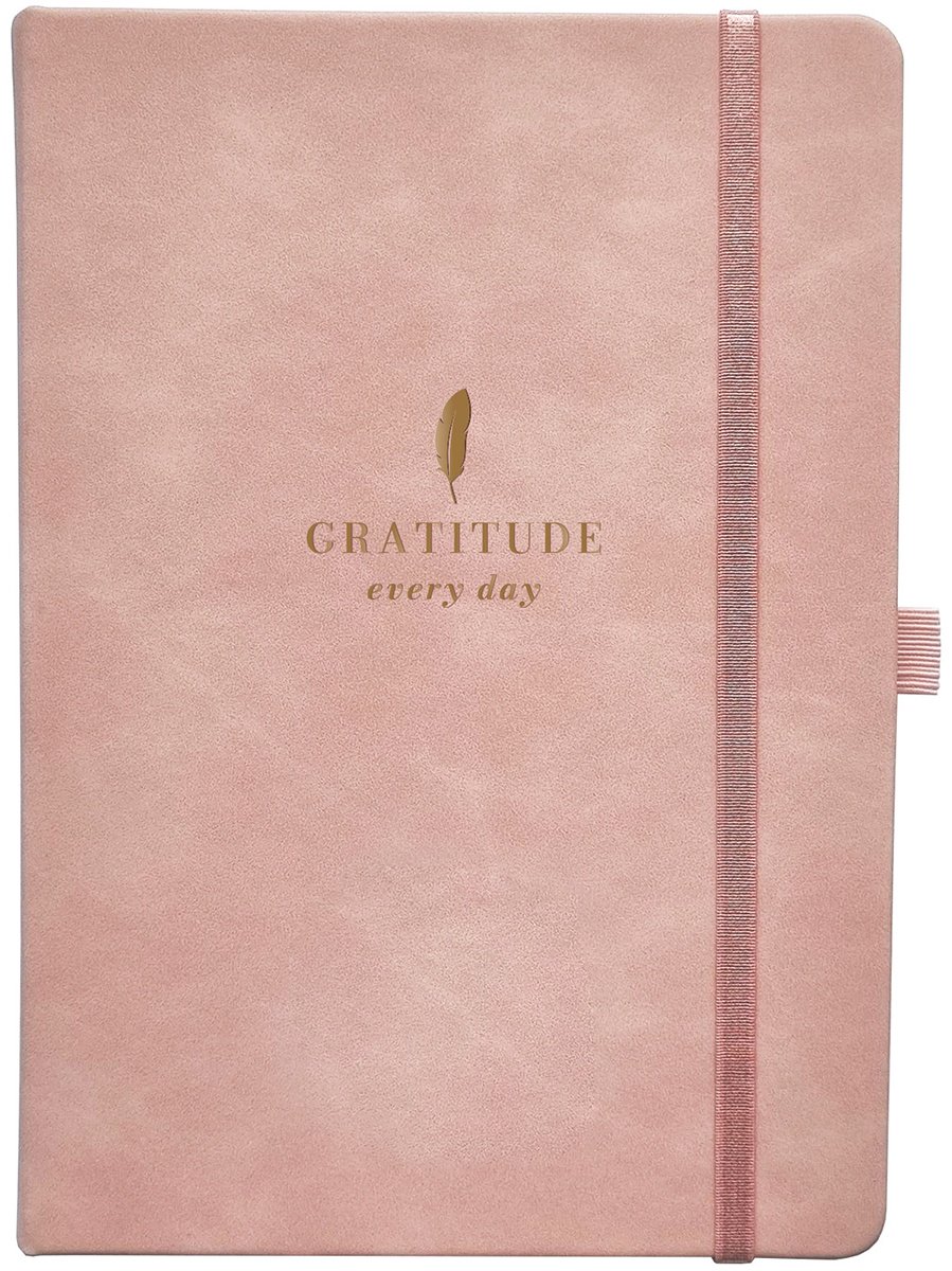 Ежедневник InFolio Grace, A5, 160 л, розовый купить,NaN