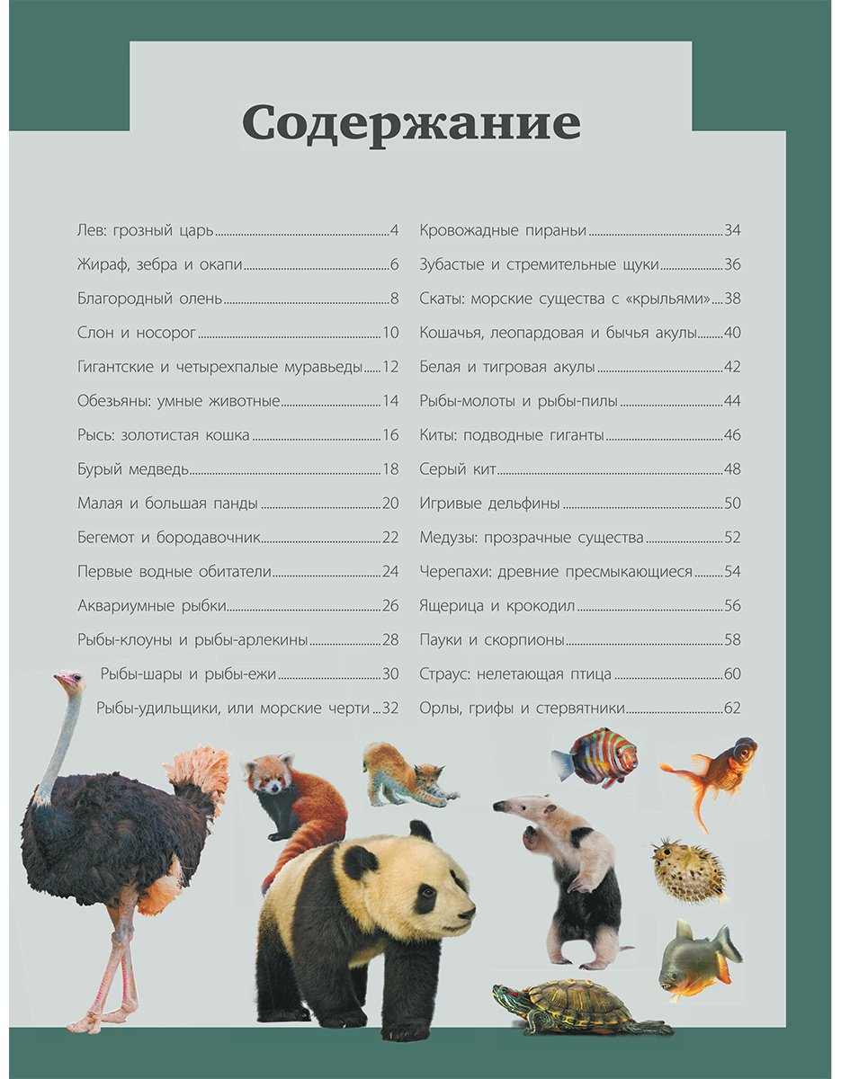 Книга Кошевар Д. В., Папуниди Е. А., Ликсо В. В.: Животные купить,NaN