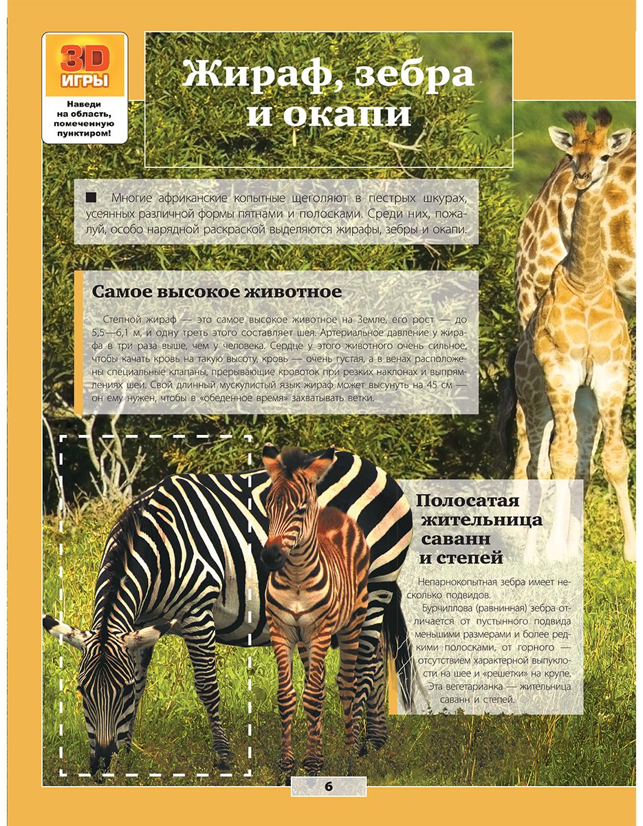 Книга Кошевар Д. В., Папуниди Е. А., Ликсо В. В.: Животные купить,NaN