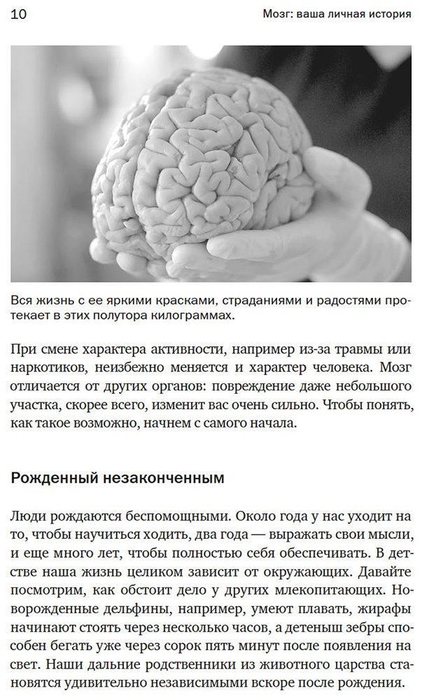 Книга Иглмен Д.: Мозг: ваша личная история купить,NaN