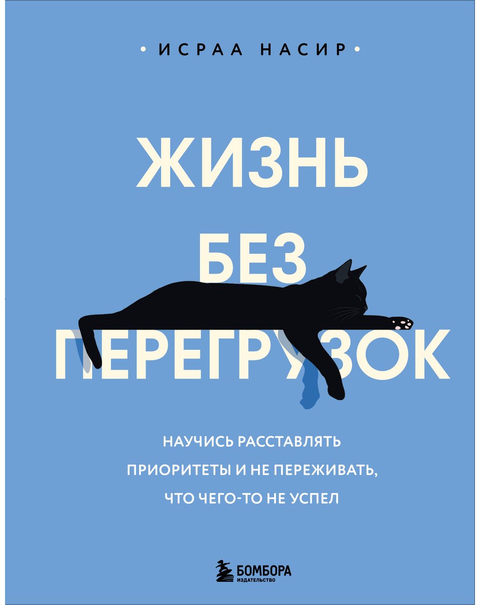 Книга Насир И.: Жизнь без перегрузок. Научись расставлять приоритеты и не переживать, что чего-то не успел купить,NaN