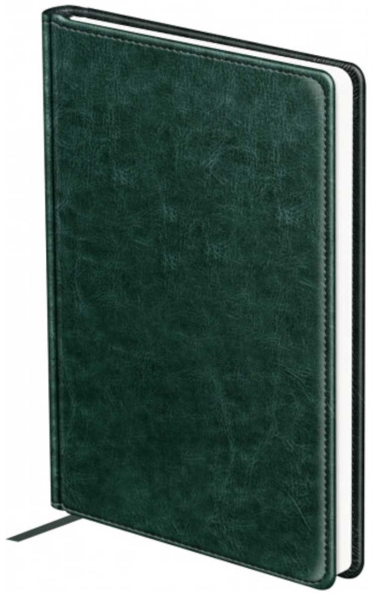 Ежедневник BG Nebraska, A5, 160 л, зеленый купить,NaN