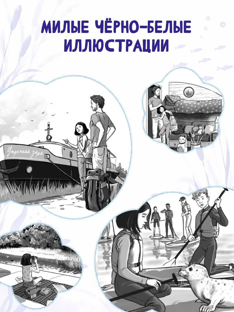 Книга Вебб Х.: Рассветный тюлень купить,NaN