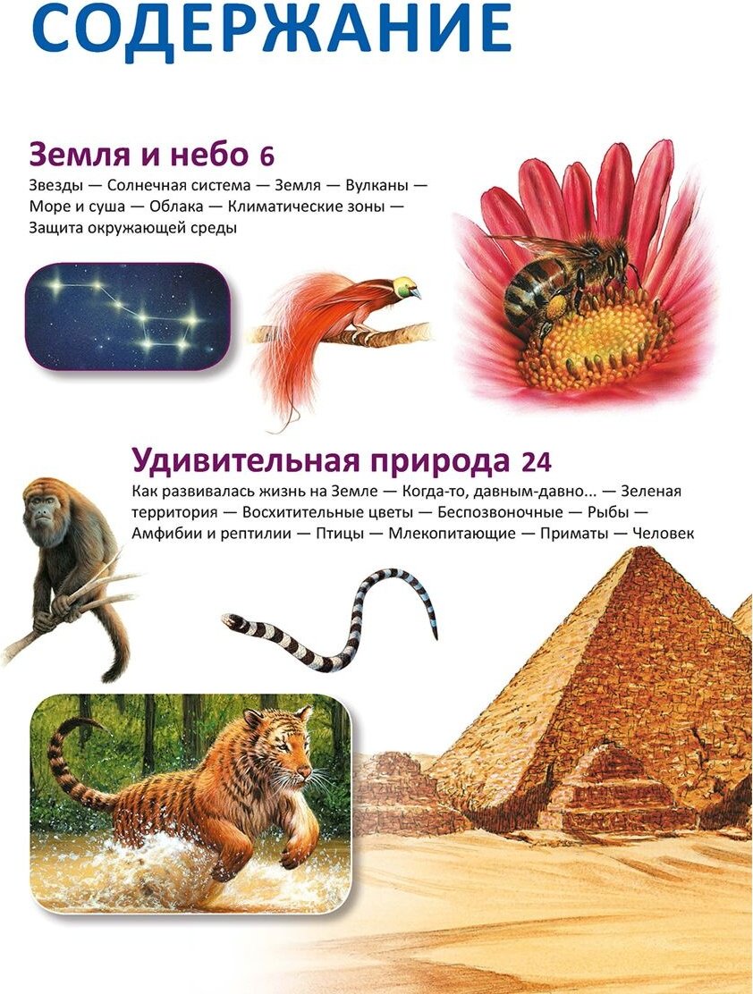 Книга Без автора: Наш мир (пер.Малиновской С.) купить,NaN