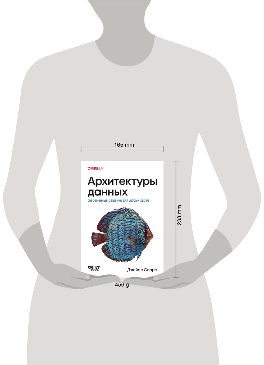 Книга Серра Дж.: Архитектуры данных: современные решения для любых задач купить,NaN