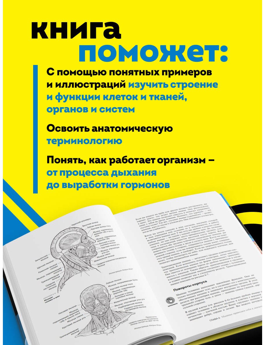 Книга Норрис Мэгги, Одья Эрин: Анатомия и физиология для чайников купить,NaN