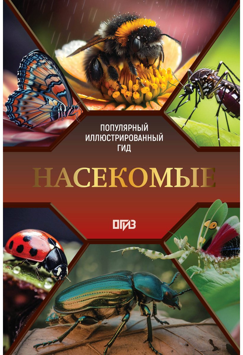 Книга Спектор А. А.: Насекомые. Иллюстрированный гид купить,NaN