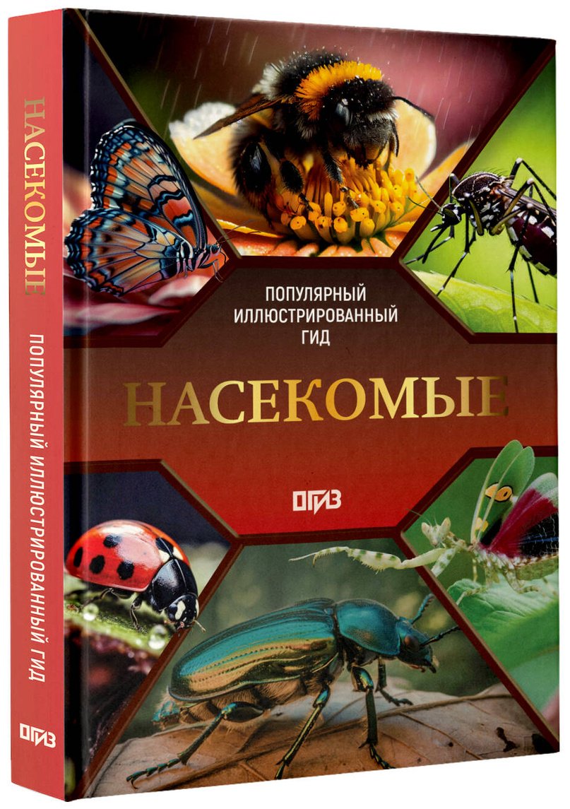 Книга Спектор А. А.: Насекомые. Иллюстрированный гид купить,NaN