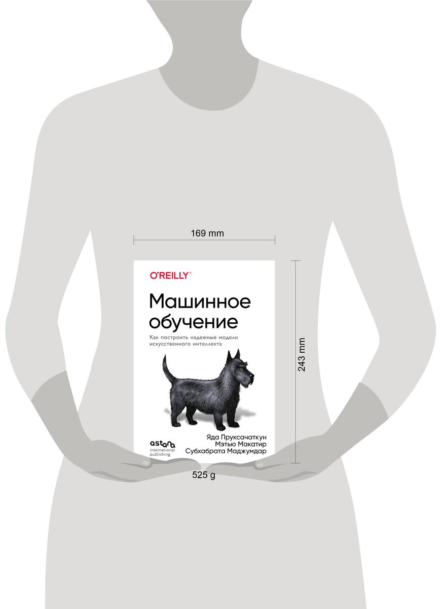 Книга Маджумдар С., Макатир М., Пруксачаткун Я.: Машинное обучение. Как построить надежные модели искусственного интеллекта купить,NaN