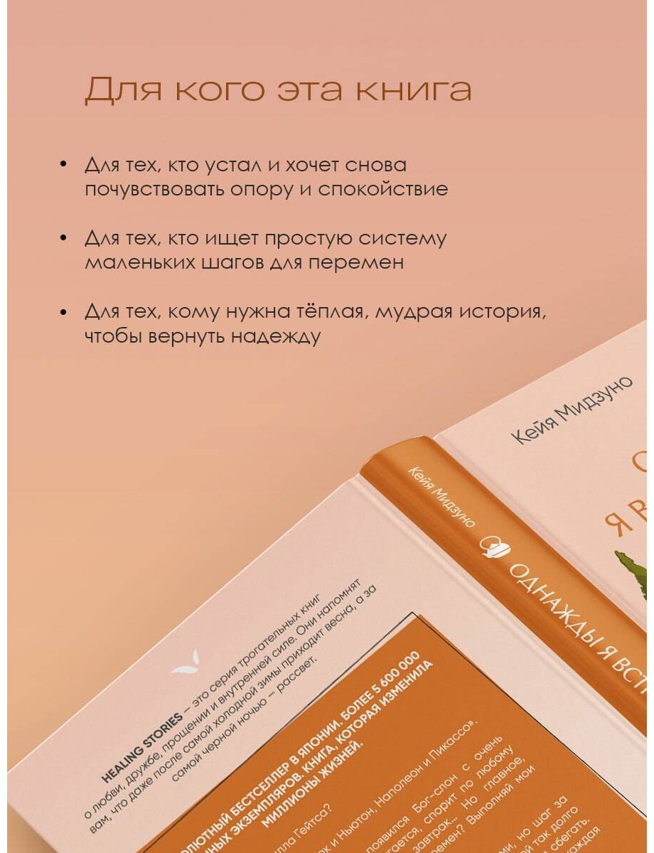 Книга Мидзуно К.: Однажды я встретил слона купить,NaN