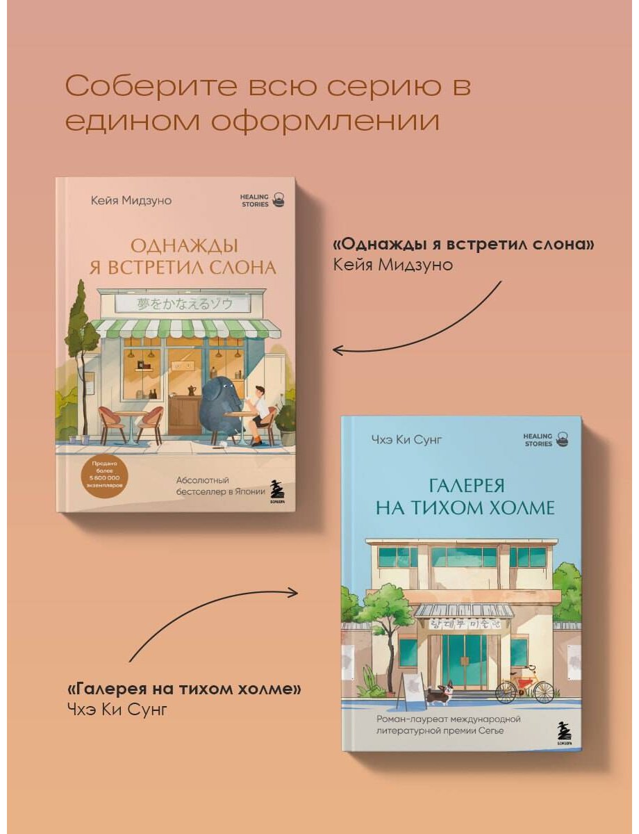 Книга Мидзуно К.: Однажды я встретил слона купить,NaN