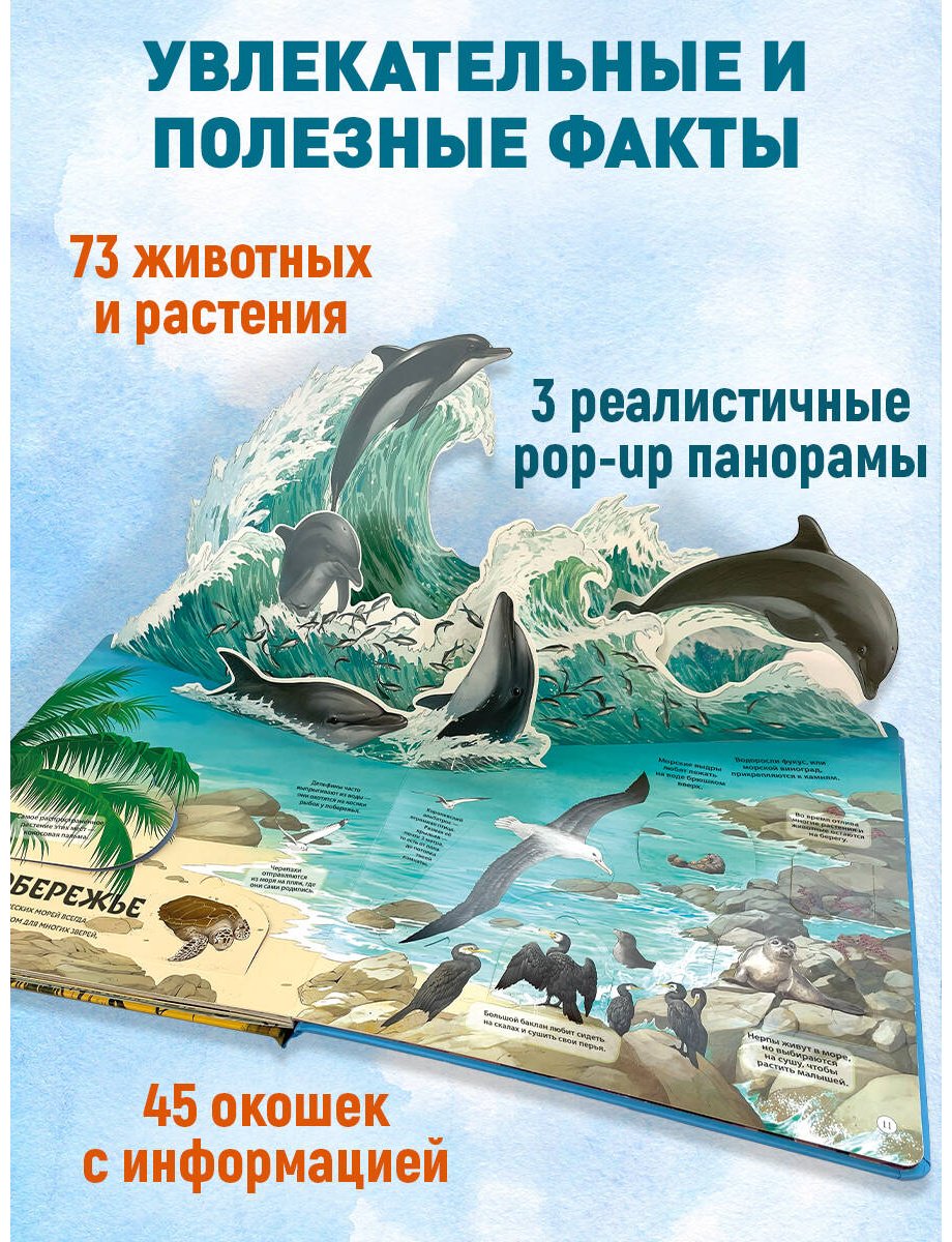 Книга Без автора: Животные и растения. Самая красивая энциклопедия с окошками, клапанами и 3D-панорамами купить,NaN