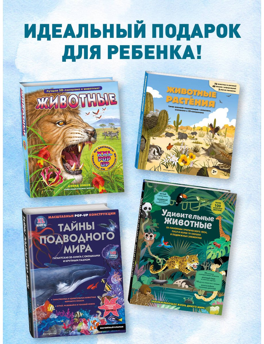 Книга Без автора: Животные и растения. Самая красивая энциклопедия с окошками, клапанами и 3D-панорамами купить,NaN